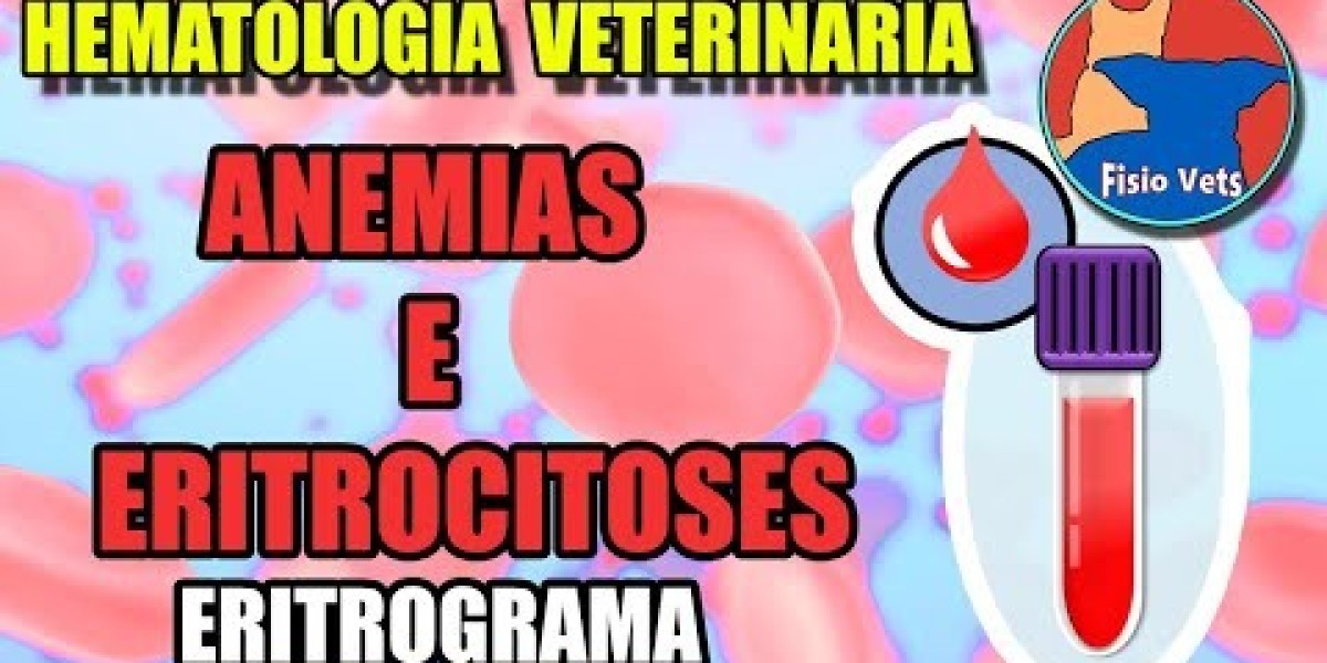 Dieta y nutrición para adultos con enfermedad renal crónica avanzada