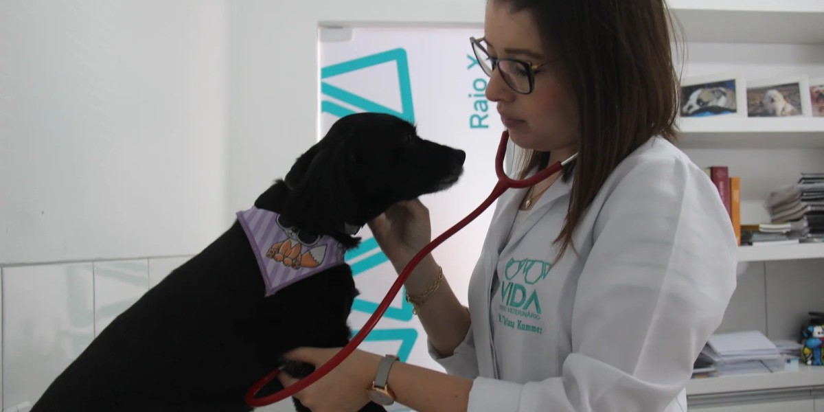 Comparativo de Carreiras: Dentistas vs. Veterinários - Quem Realmente Ganha Mais?