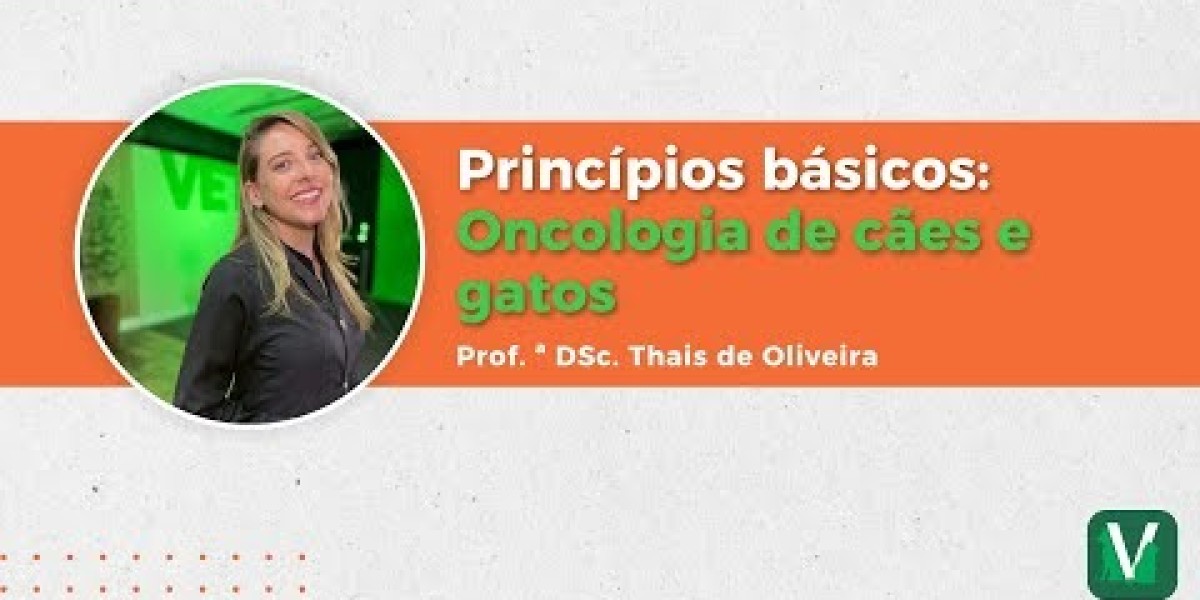 Diagnósticos acertados con rayos X para tu mascota