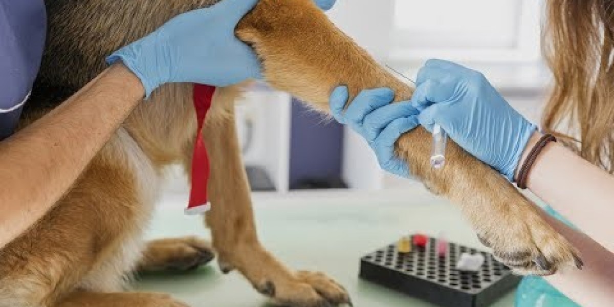 Patrones pulmonares en radiografía torácica de perro y gato