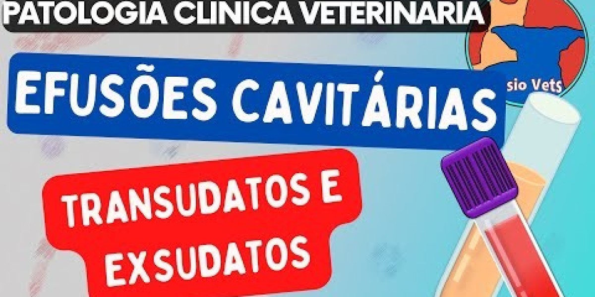 Insuficiencia cardíaca en perros: ¿Qué causa?