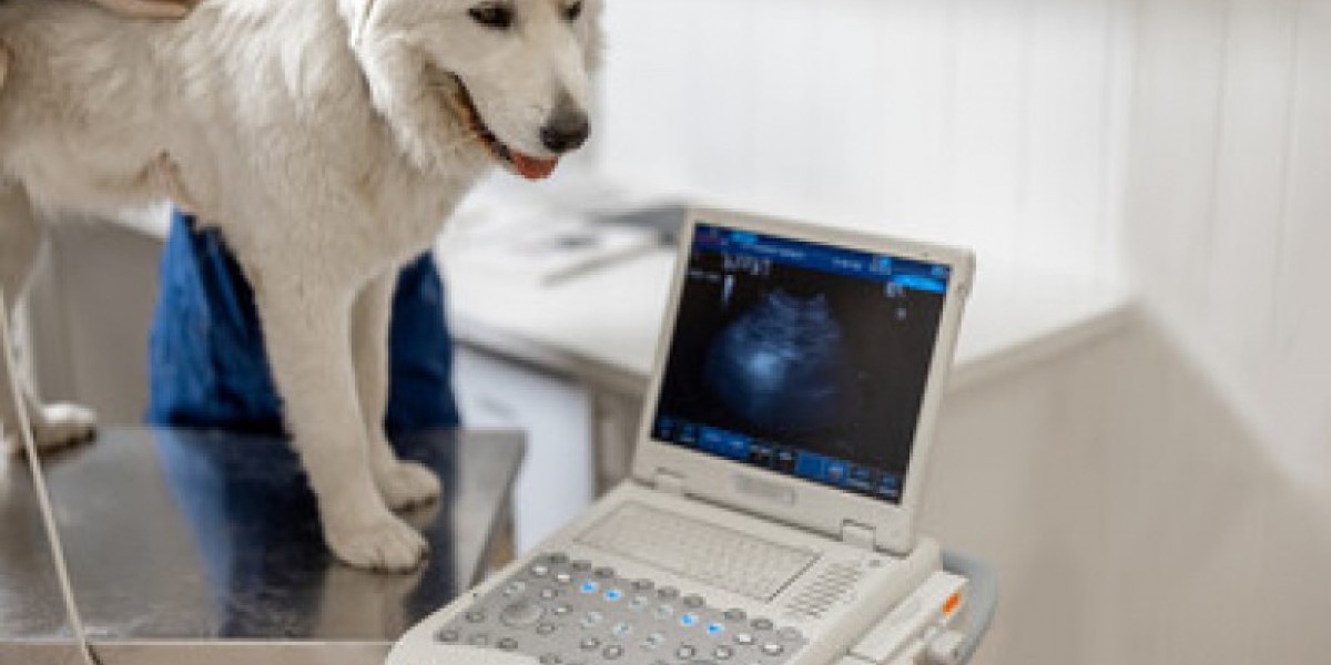 Radiología Veterinaria